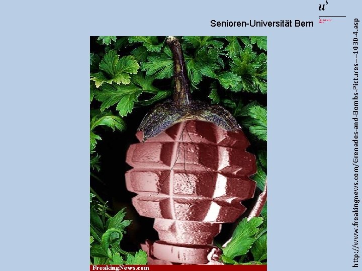 http: //www. freakingnews. com/Grenades-and-Bombs-Pictures----1030 -4. asp Senioren-Universität Bern 