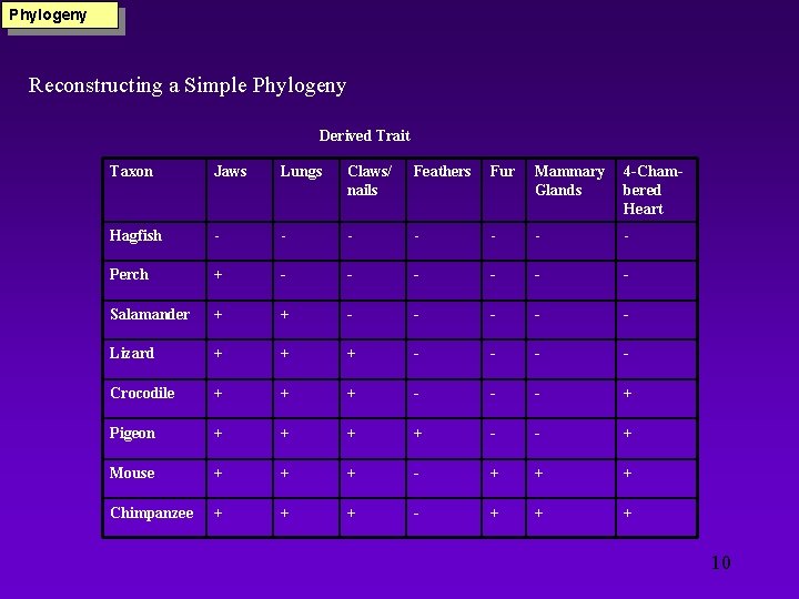 Phylogeny Reconstructing a Simple Phylogeny Derived Trait Taxon Jaws Lungs Claws/ nails Feathers Fur