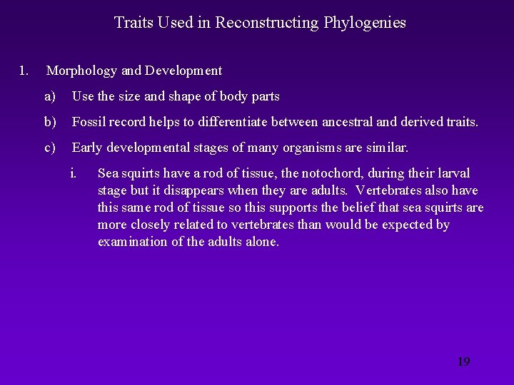 Traits Used in Reconstructing Phylogenies 1. Morphology and Development a) Use the size and