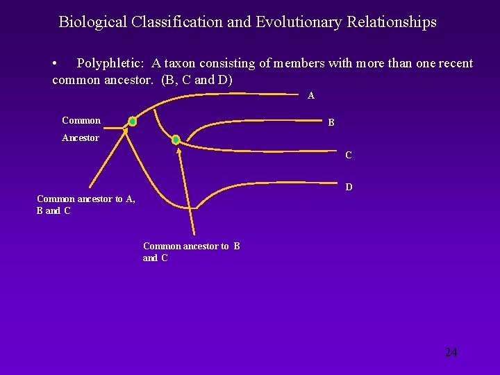 Biological Classification and Evolutionary Relationships • Polyphletic: A taxon consisting of members with more