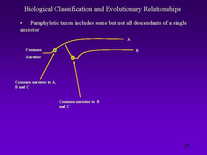 Biological Classification and Evolutionary Relationships • Paraphyletic taxon includes some but not all descendants