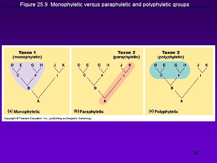 Figure 25. 9 Monophyletic versus paraphyletic and polyphyletic groups 26 