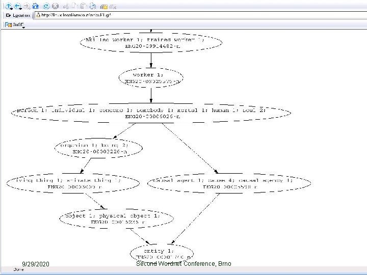 9/29/2020 Second Wordnet Conference, Brno 