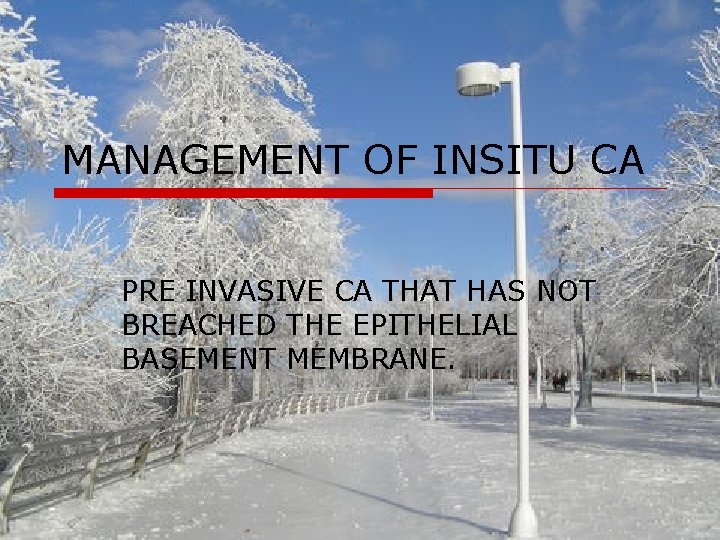 MANAGEMENT OF INSITU CA PRE INVASIVE CA THAT HAS NOT BREACHED THE EPITHELIAL BASEMENT MANAGEMENT OF INSITU CA PRE INVASIVE CA THAT HAS NOT BREACHED THE EPITHELIAL BASEMENT