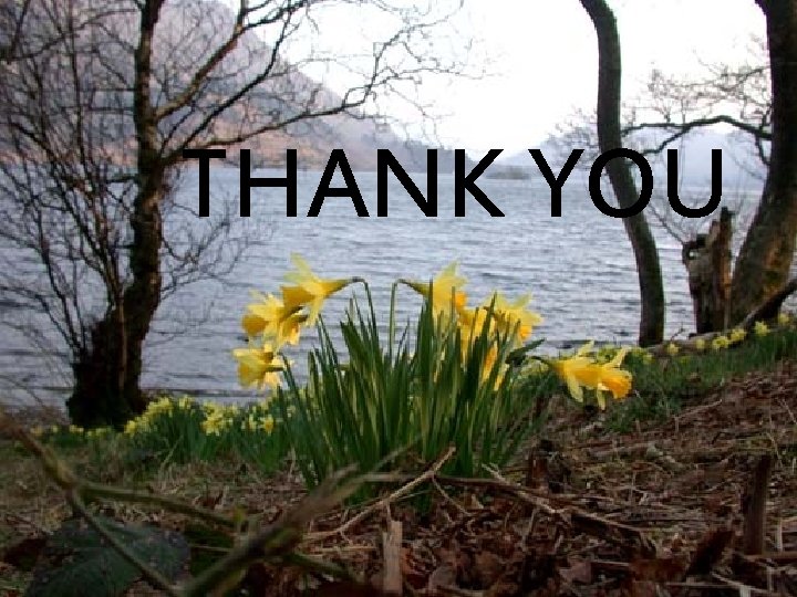 THANK YOU THANK YOU