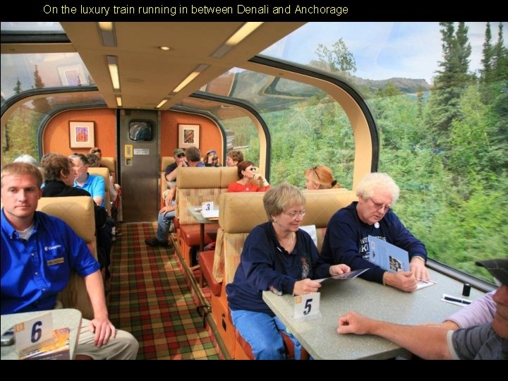 On the luxury train running in between Denali and Anchorage 