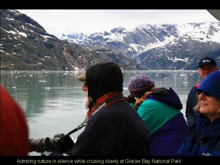 Admiring nature in silence while cruising slowly at Glacier Bay National Park 