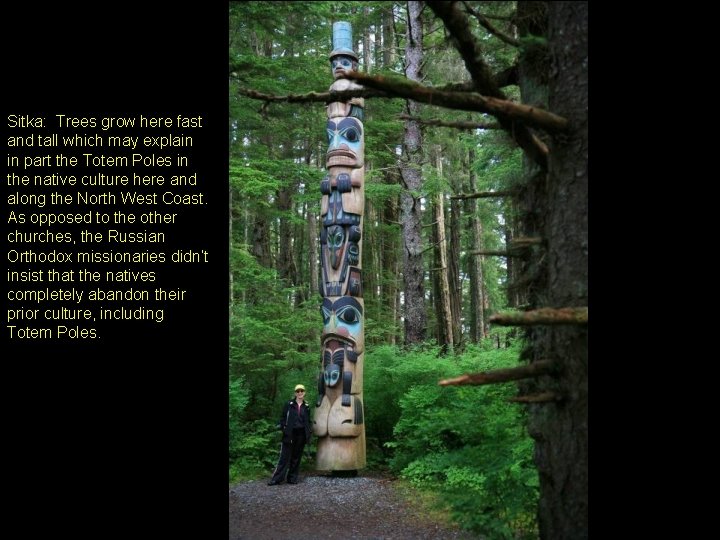 Sitka: Trees grow here fast and tall which may explain in part the Totem