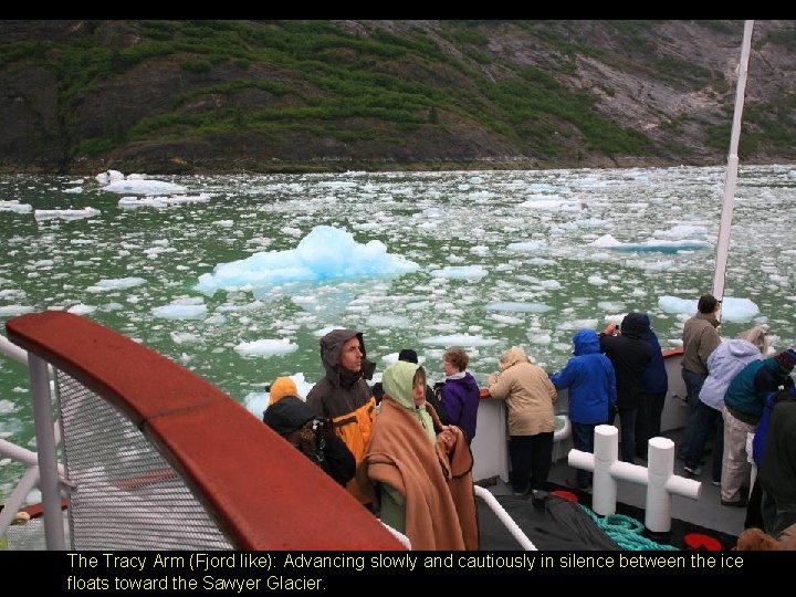The Tracy Arm (Fjord like): Advancing slowly and cautiously in silence between the ice
