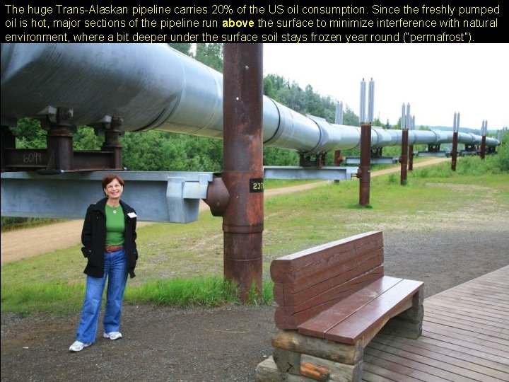 The huge Trans-Alaskan pipeline carries 20% of the US oil consumption. Since the freshly