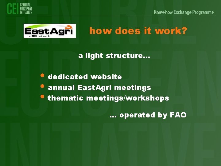 how does it work? a light structure. . . • dedicated website • annual