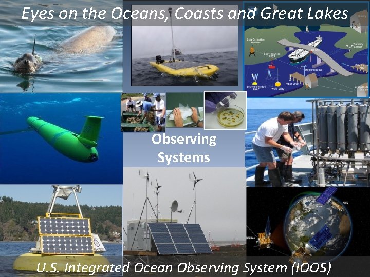 Eyes on the Oceans, Coasts and Great Lakes Observing Systems U. S. Integrated Ocean
