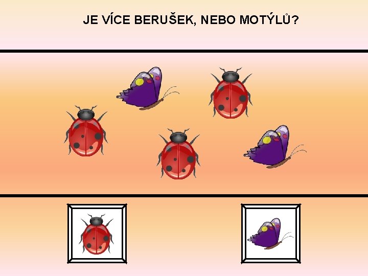 JE VÍCE BERUŠEK, NEBO MOTÝLŮ? 