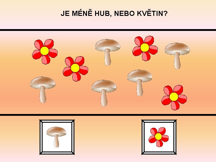 JE MÉNĚ HUB, NEBO KVĚTIN? 