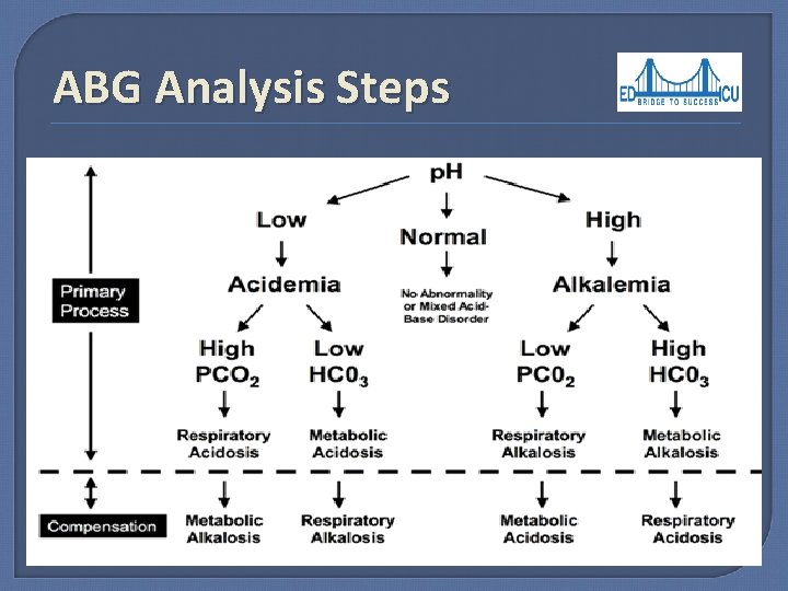 ABG Analysis Steps 1. 2. 3. 4. 5. 6. 7. Is the p. H