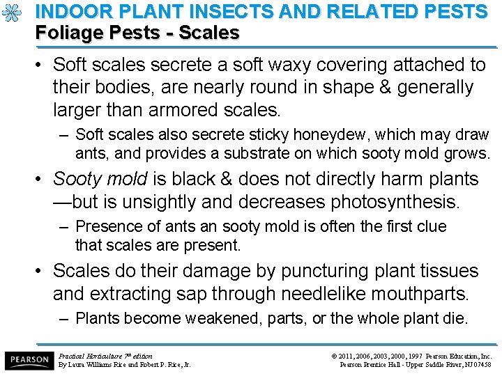 INDOOR PLANT INSECTS AND RELATED PESTS Foliage Pests - Scales • Soft scales secrete