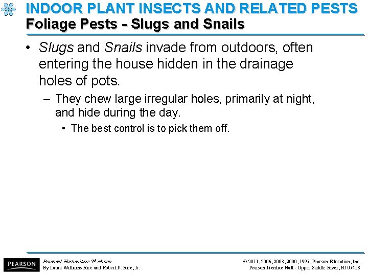 INDOOR PLANT INSECTS AND RELATED PESTS Foliage Pests - Slugs and Snails • Slugs