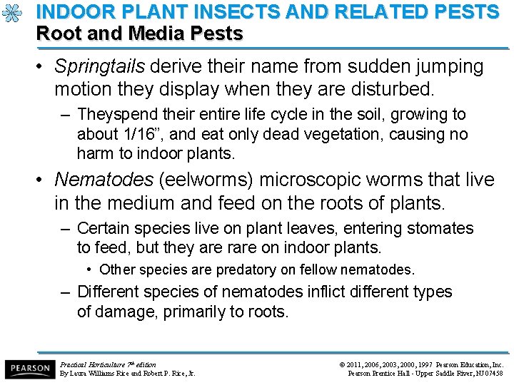 INDOOR PLANT INSECTS AND RELATED PESTS Root and Media Pests • Springtails derive their