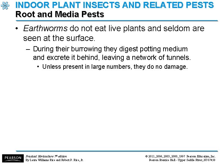 INDOOR PLANT INSECTS AND RELATED PESTS Root and Media Pests • Earthworms do not