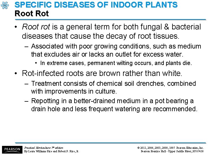 SPECIFIC DISEASES OF INDOOR PLANTS Root Rot • Root rot is a general term