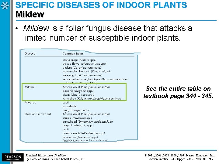 SPECIFIC DISEASES OF INDOOR PLANTS Mildew • Mildew is a foliar fungus disease that