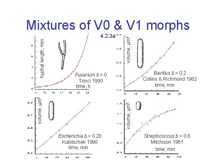 volume, m 3 4. 2. 3 a Bacillus = 0. 2 Collins & Richmond volume, m 3 4. 2. 3 a Bacillus = 0. 2 Collins & Richmond