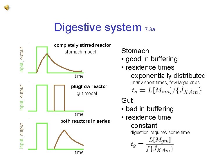 input, output Digestive system 7. 3 a completely stirred reactor stomach model input, output input, output Digestive system 7. 3 a completely stirred reactor stomach model input, output