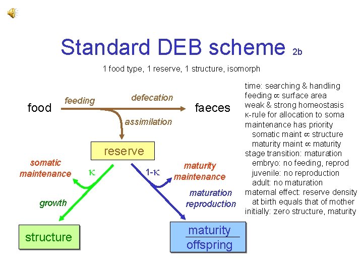 Standard DEB scheme 2 b 1 food type, 1 reserve, 1 structure, isomorph food Standard DEB scheme 2 b 1 food type, 1 reserve, 1 structure, isomorph food