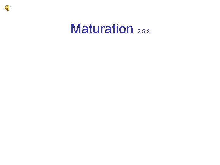 Maturation 2. 5. 2 Maturation 2. 5. 2