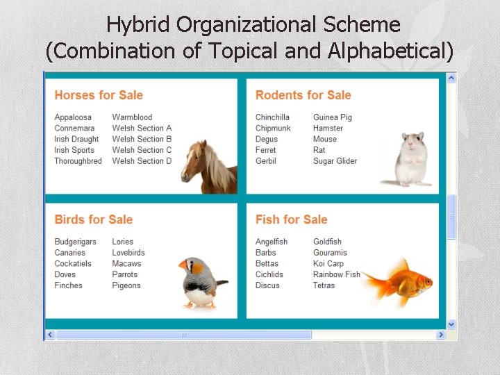 Hybrid Organizational Scheme (Combination of Topical and Alphabetical) 