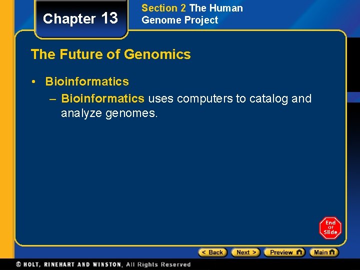 Chapter 13 Section 2 The Human Genome Project The Future of Genomics • Bioinformatics