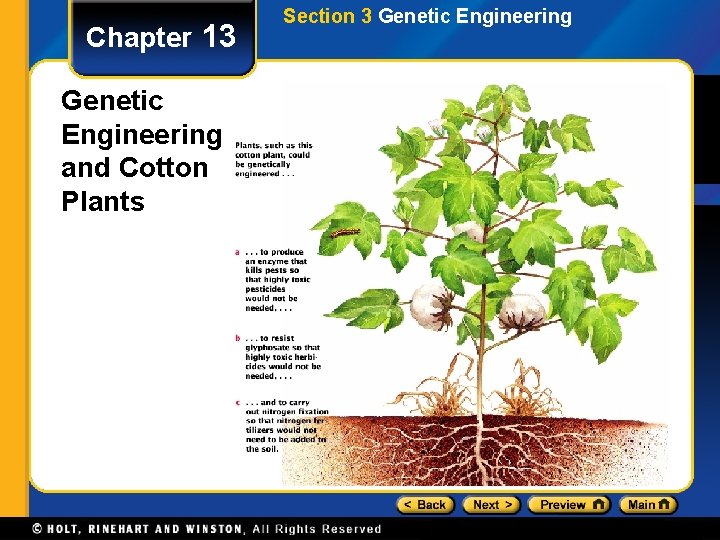 Chapter 13 Genetic Engineering and Cotton Plants Section 3 Genetic Engineering 