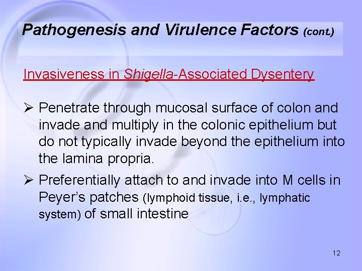 Pathogenesis and Virulence Factors (cont. ) Invasiveness in Shigella-Associated Dysentery Ø Penetrate through mucosal