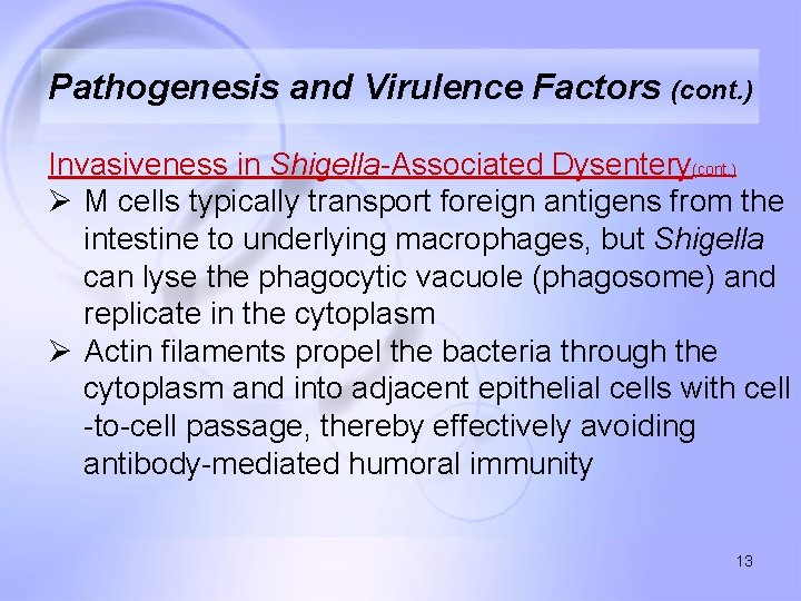 Pathogenesis and Virulence Factors (cont. ) Invasiveness in Shigella-Associated Dysentery(cont. ) Ø M cells