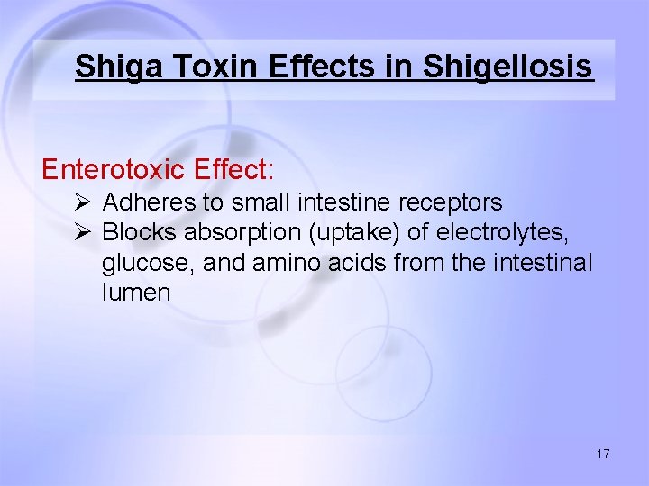 Shiga Toxin Effects in Shigellosis Enterotoxic Effect: Ø Adheres to small intestine receptors Ø