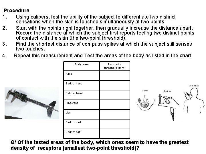 Procedure 1. Using calipers, test the ability of the subject to differentiate two Procedure 1. Using calipers, test the ability of the subject to differentiate two