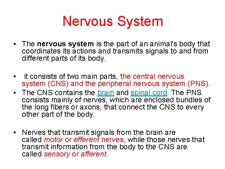 Nervous System • The nervous system is the part of an animal's body that Nervous System • The nervous system is the part of an animal's body that
