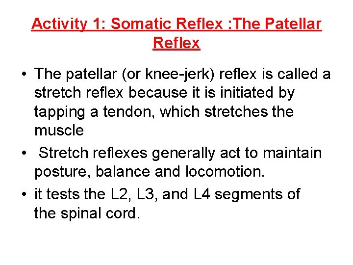 Activity 1: Somatic Reflex : The Patellar Reflex • The patellar (or knee-jerk) reflex Activity 1: Somatic Reflex : The Patellar Reflex • The patellar (or knee-jerk) reflex