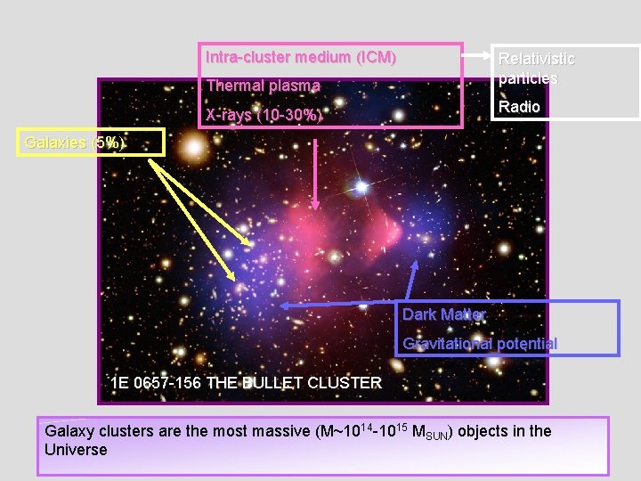 Intra-cluster medium (ICM) Thermal plasma Relativistic particles X-rays (10 -30%) Radio Galaxies (5%) Dark