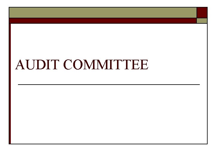 AUDIT COMMITTEE 