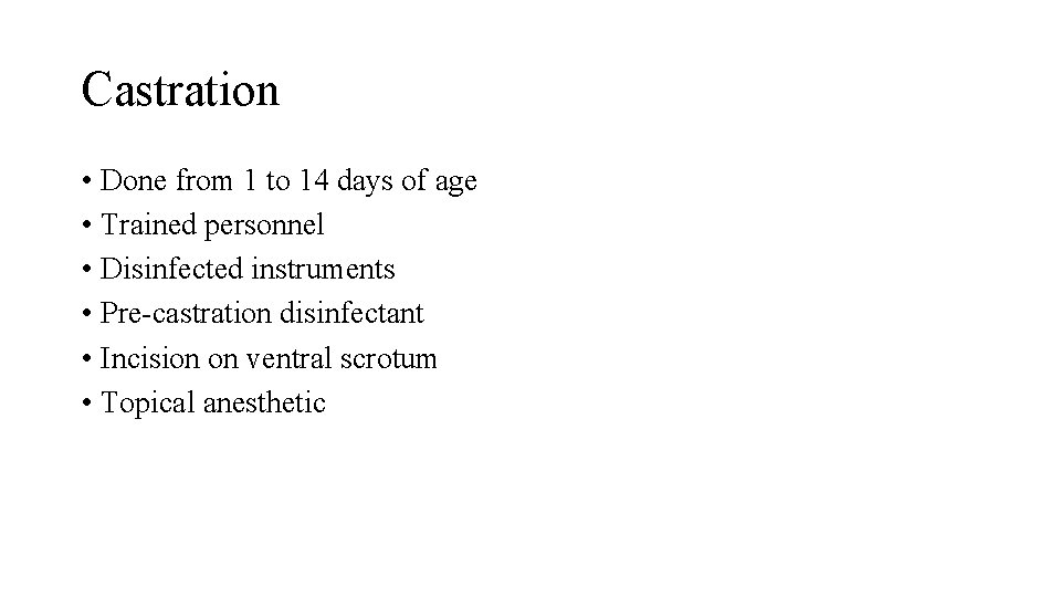 Castration • Done from 1 to 14 days of age • Trained personnel •