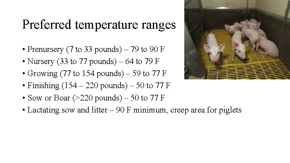 Preferred temperature ranges • Prenursery (7 to 33 pounds) – 79 to 90 F