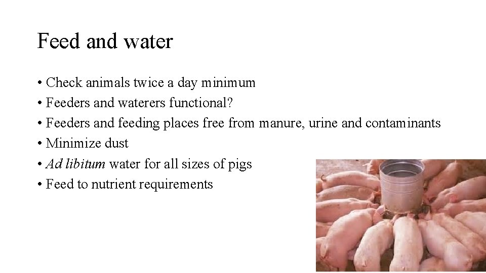 Feed and water • Check animals twice a day minimum • Feeders and waterers