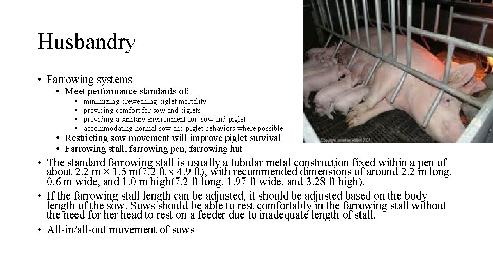 Husbandry • Farrowing systems • Meet performance standards of: • • minimizing preweaning piglet