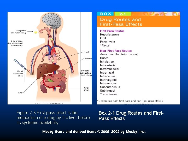 Figure 2 -3 First-pass effect is the metabolism of a drug by the liver