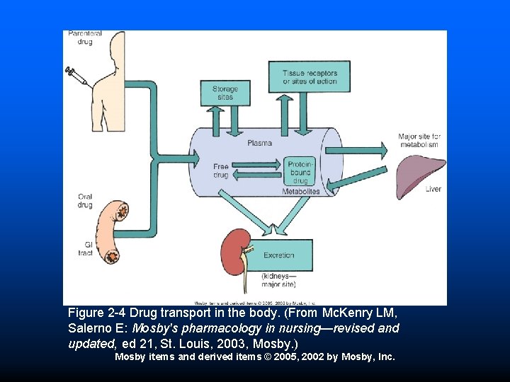 Figure 2 -4 Drug transport in the body. (From Mc. Kenry LM, Salerno E: