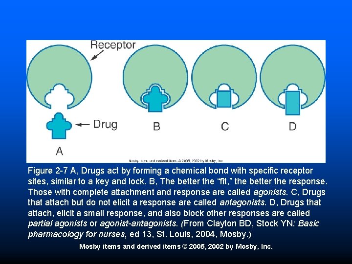 Figure 2 -7 A, Drugs act by forming a chemical bond with specific receptor