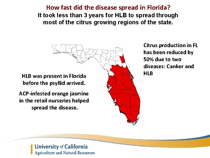 How fast did the disease spread in Florida? It took less than 3 years