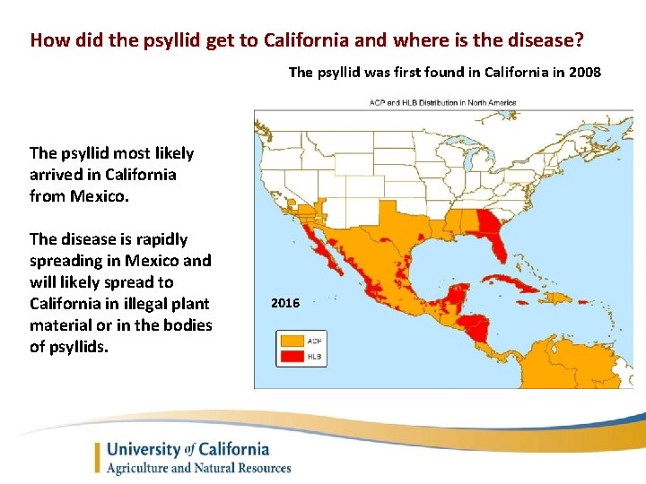 How did the psyllid get to California and where is the disease? The psyllid