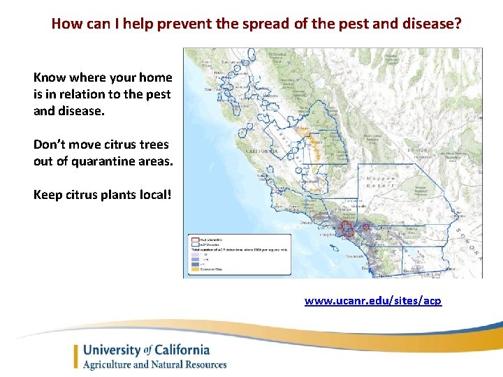 How can I help prevent the spread of the pest and disease? Know where